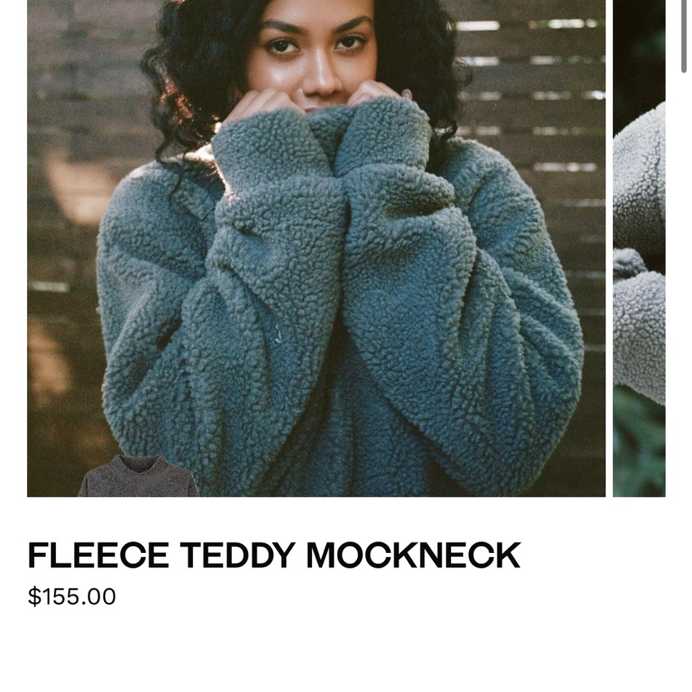 Parke fleece grey teddy mockneck sweater l/xl